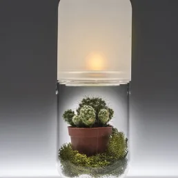 casarialto 2 in 1 c39 decorated