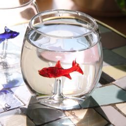 casarialto little fish round glasses c92