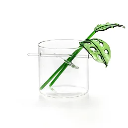 W-C135-S-Open-Casa_Rialto