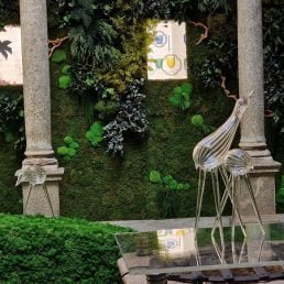 casarialto dodo c99 c100 2