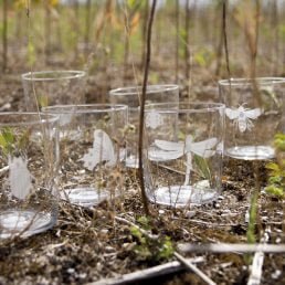 casarialto insect engraved glasses small2