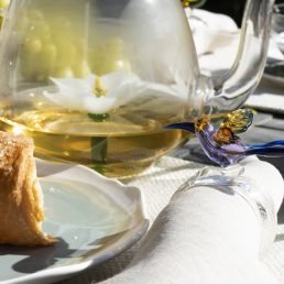 tropical birds napking rings small 2