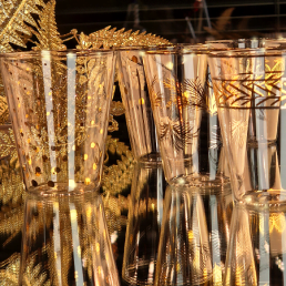 casarialto africa glam c151 3