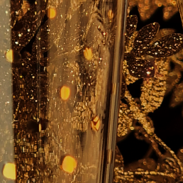 casarialto africa glam glasses c151 4