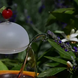 casarialto c162 confiture pot apple close up