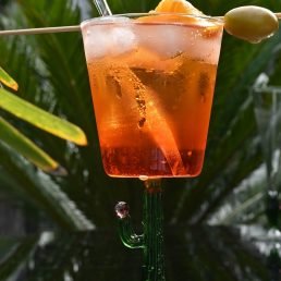 casarialto cactus mania wine glasses c159 green 3