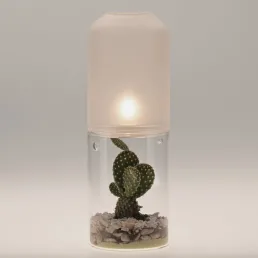 casarialto 2 in 1 xl c39 xl with cactus s small