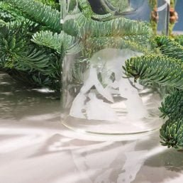 casarialto engraved snow jug 2