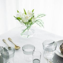 casarialto kansahi tropical small c135 s ambientata