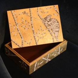 casarialto sdrb1 sdrb2 scatola stefania 1