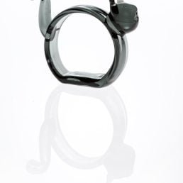 casarialto courtyard napking rings c171 cat still life