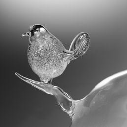 casarialto breath generation tornasole bgt detail trsnap