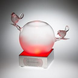 casarialto breath generation tornasole bgt red