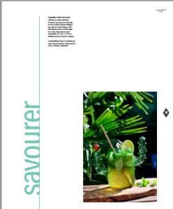 domodeco cactus mania