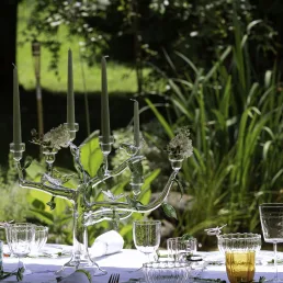 set of 4 monocolor petal water glasses c180