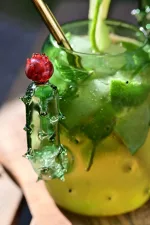 dettaglio fiore bicc cactus mojito jpg