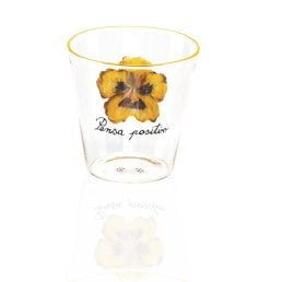 casarialto va pensiero glass c192 yellow 2