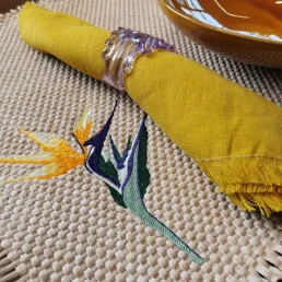 tropical set of 6 raphia placemats h3